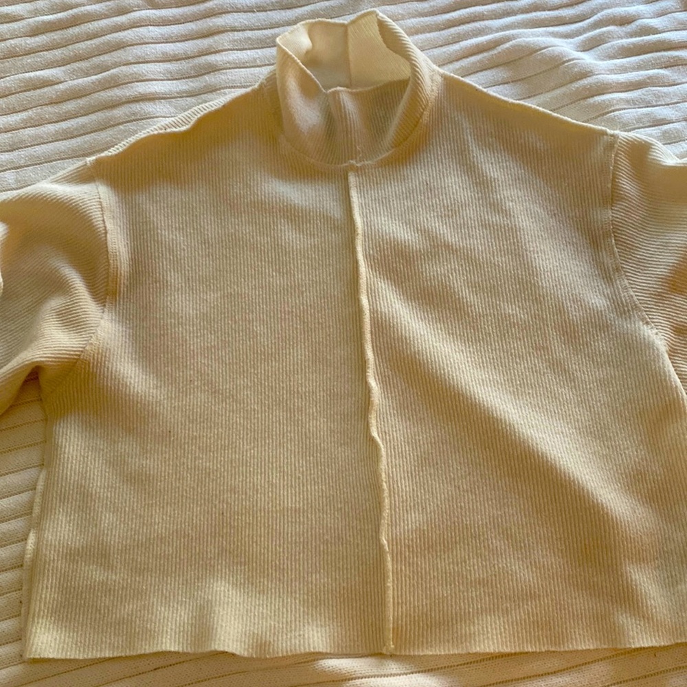 Off white mock neck long sleeve crop